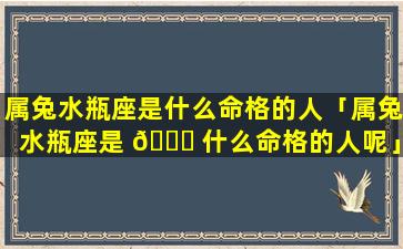 属兔水瓶座是什么命格的人「属兔水瓶座是 🐘 什么命格的人呢」